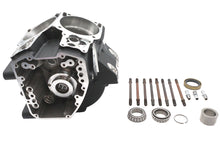 Ultima Twin Cam Engine Case Set Black