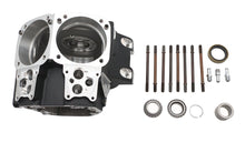 Ultima Twin Cam Engine Case Set Black