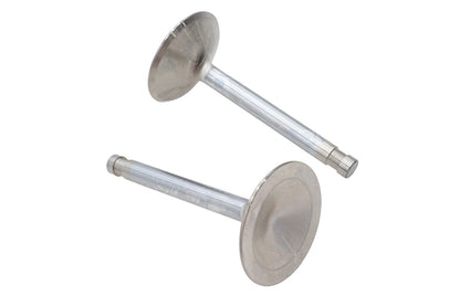 Ultima Intake Valve Stainless Steel