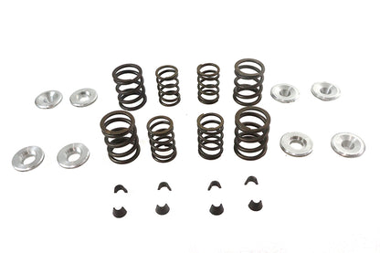 Sifton XL Valve Spring Kit