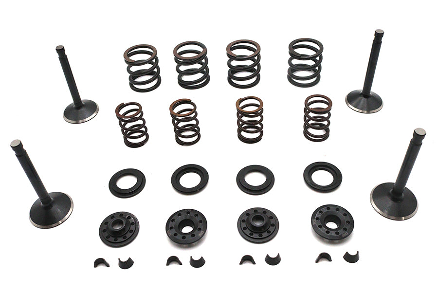 Kibblewhite Valve and Spring Kit