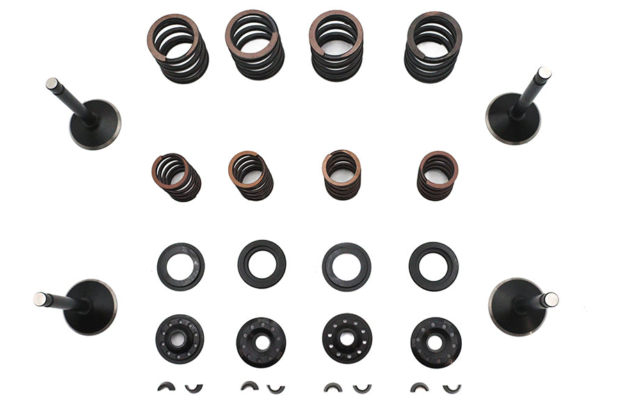 Kibblewhite Valve and Spring Kit