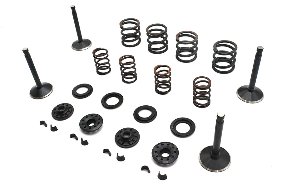 Kibblewhite Valve and Spring Kit