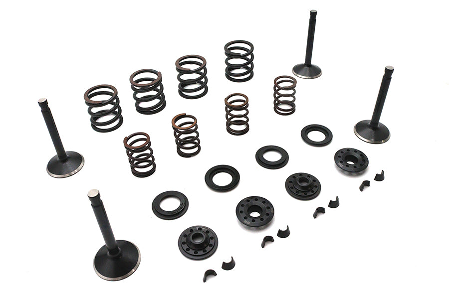 Kibblewhite Valve and Spring Kit