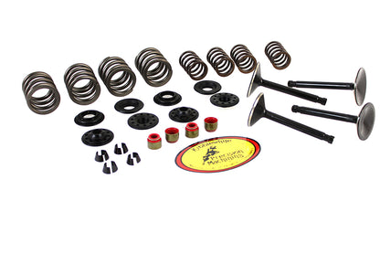 Kibblewhite Valve and Spring Kit