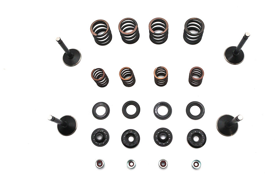 Kibblewhite Valve and Spring Kit