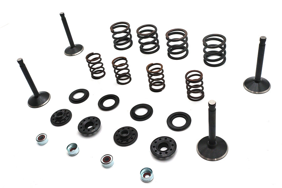 Kibblewhite Valve and Spring Kit