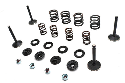 Kibblewhite Valve and Spring Kit
