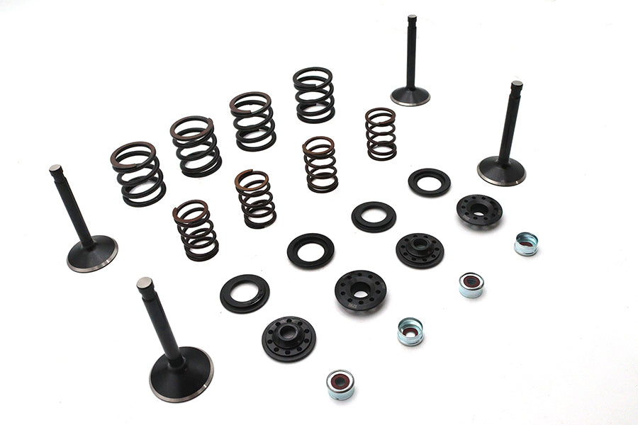 Kibblewhite Valve and Spring Kit