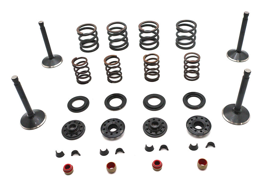 Kibblewhite Valve and Spring Kit