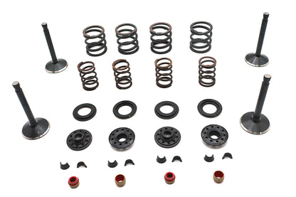 Kibblewhite Valve and Spring Kit