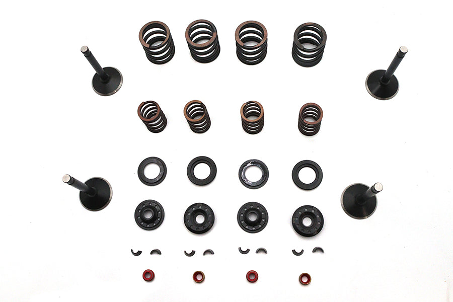 Kibblewhite Valve and Spring Kit