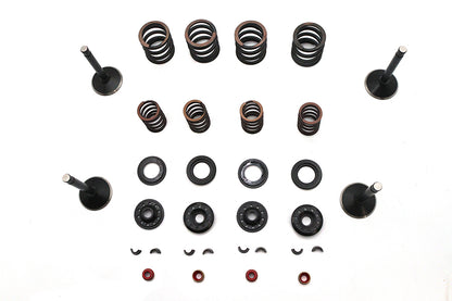 Kibblewhite Valve and Spring Kit