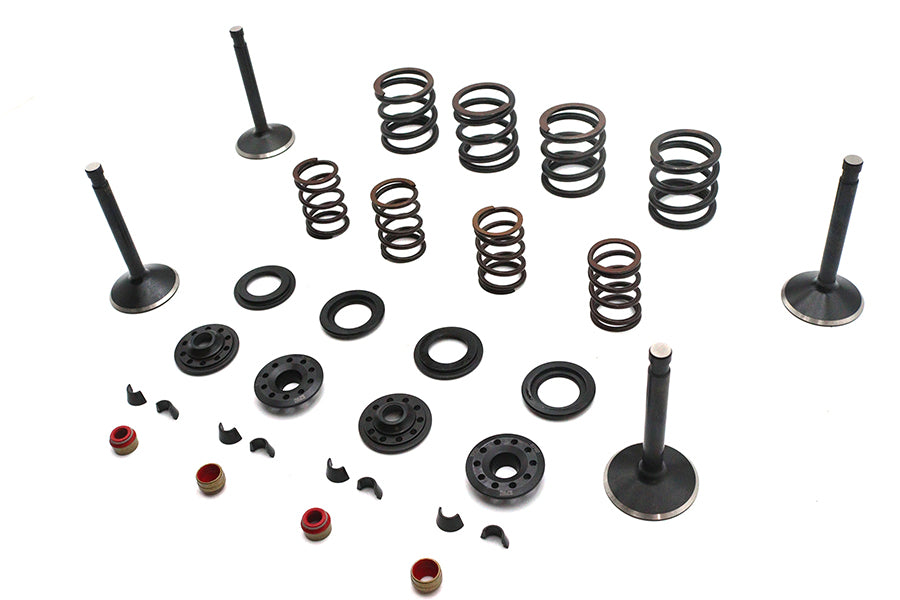 Kibblewhite Valve and Spring Kit
