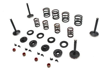 Kibblewhite Valve and Spring Kit