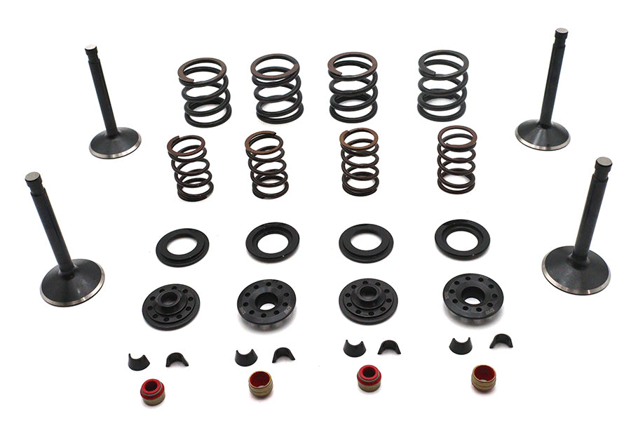 Kibblewhite Valve and Spring Kit