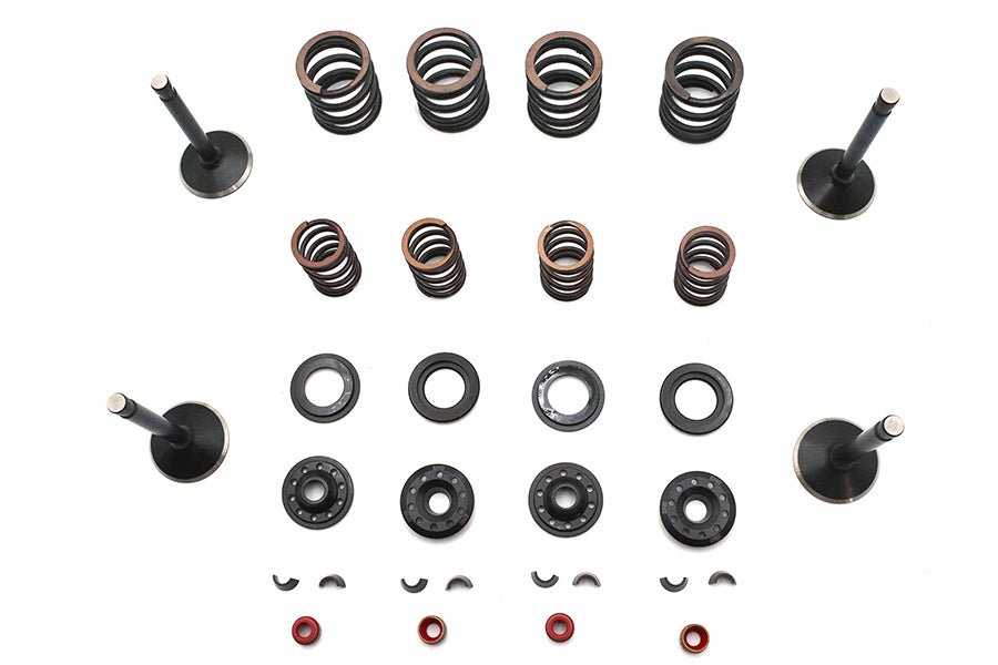 Kibblewhite Valve and Spring Kit