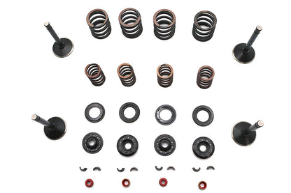 Kibblewhite Valve and Spring Kit