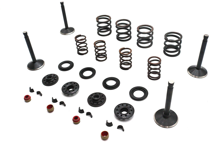 Kibblewhite Valve and Spring Kit