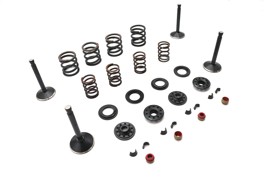 Kibblewhite Valve and Spring Kit