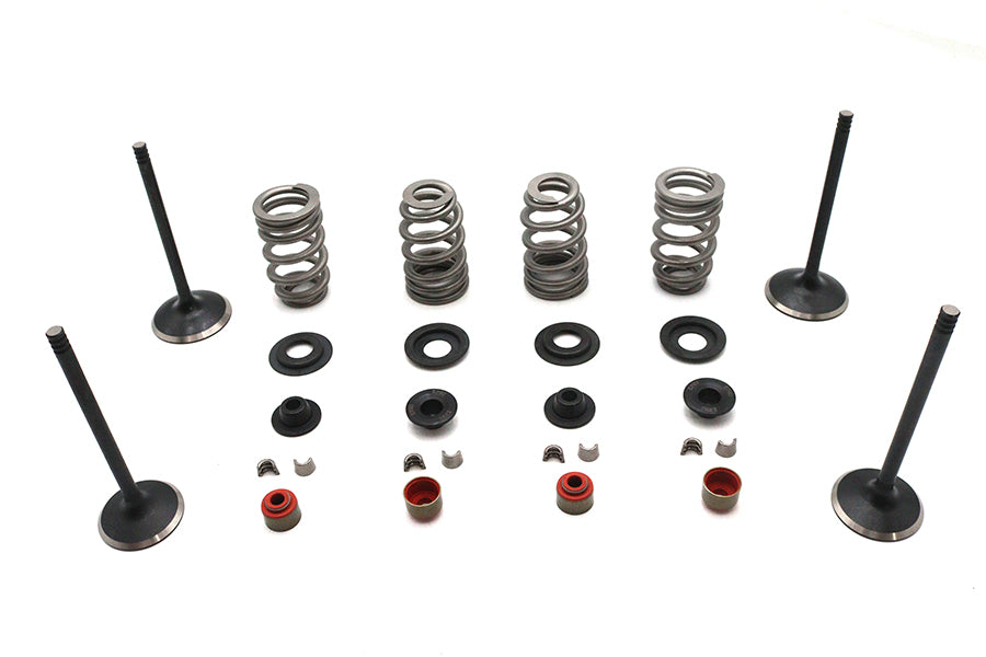 Kibblewhite Valve and Spring Kit