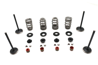 Kibblewhite Valve and Spring Kit