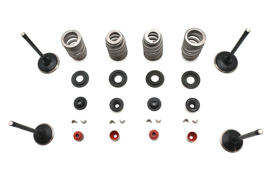 Kibblewhite Valve and Spring Kit