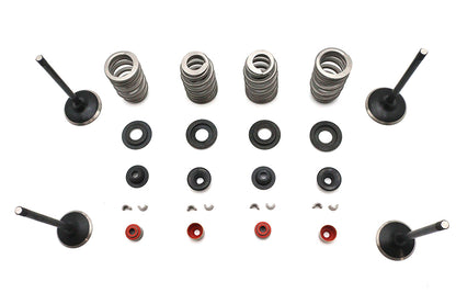 Kibblewhite Valve and Spring Kit