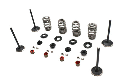Kibblewhite Valve and Spring Kit