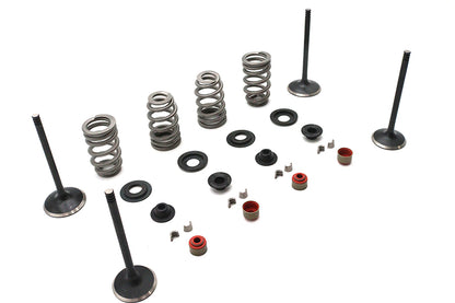 Kibblewhite Valve and Spring Kit