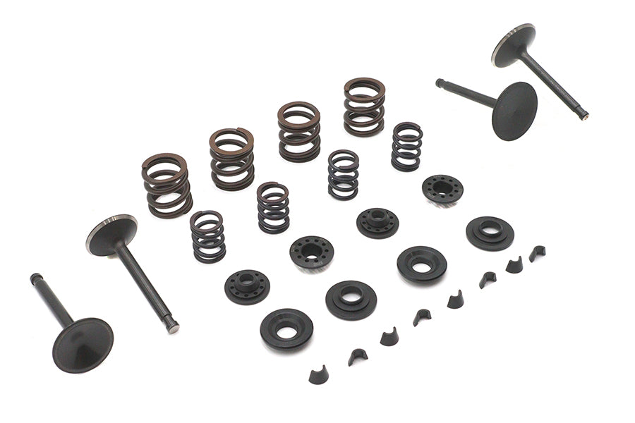 Kibblewhite Valve and Spring Kit
