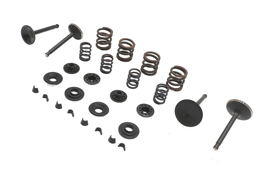 Kibblewhite Valve and Spring Kit