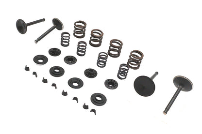 Kibblewhite Valve and Spring Kit