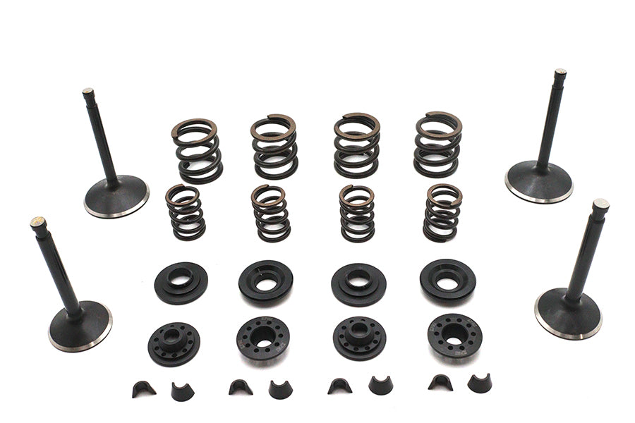 Kibblewhite Valve and Spring Kit
