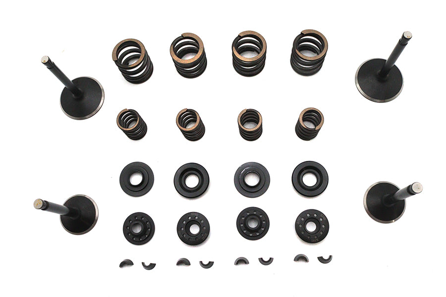 Kibblewhite Valve and Spring Kit