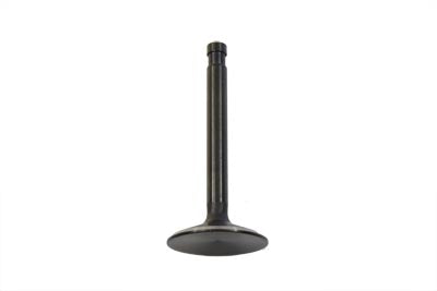 Stainless Black Diamond Intake Valve