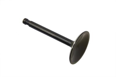 2.00 Black Diamond Nitrate Intake Valve