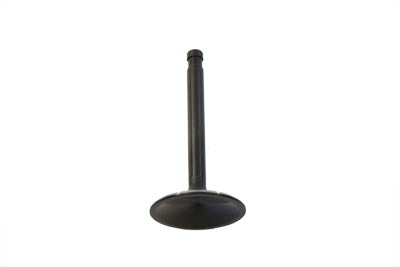 2.00 Black Diamond Nitrate Intake Valve