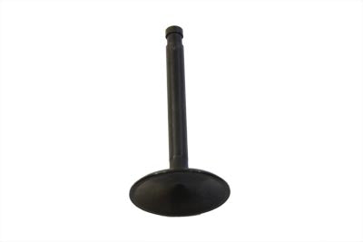 Black Diamond Stem Intake Valve
