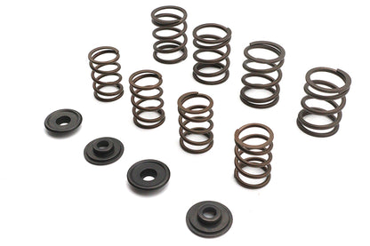 Valve Spring Kit