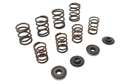 Valve Spring Kit
