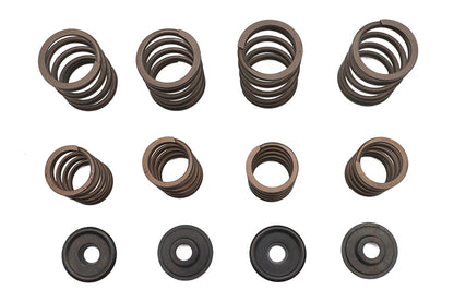 Valve Spring Kit