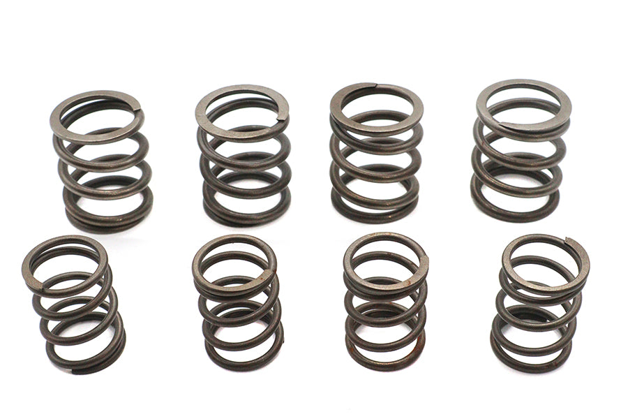 Valve Spring Kit