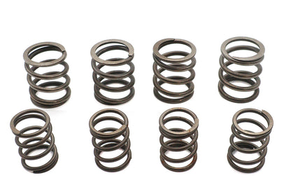 Valve Spring Kit