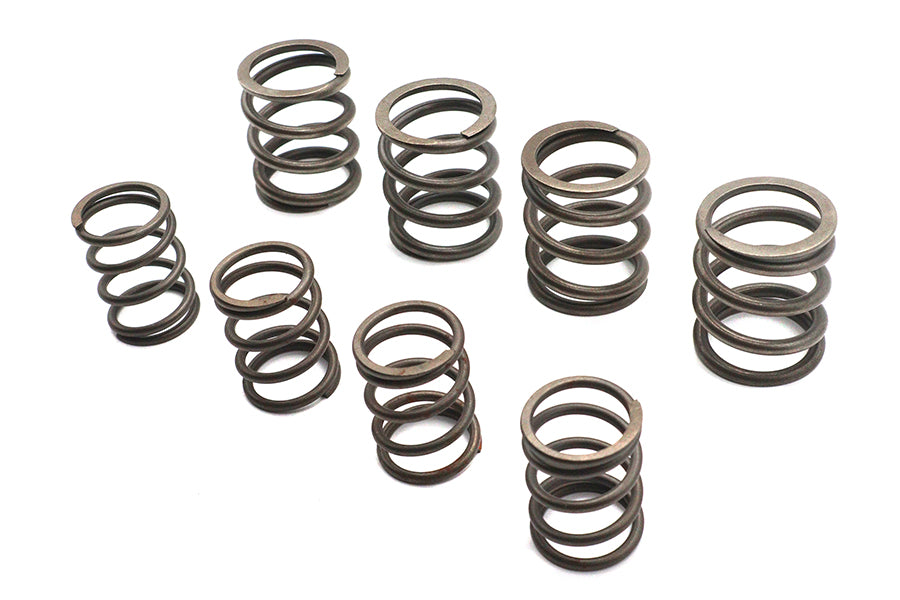Valve Spring Kit