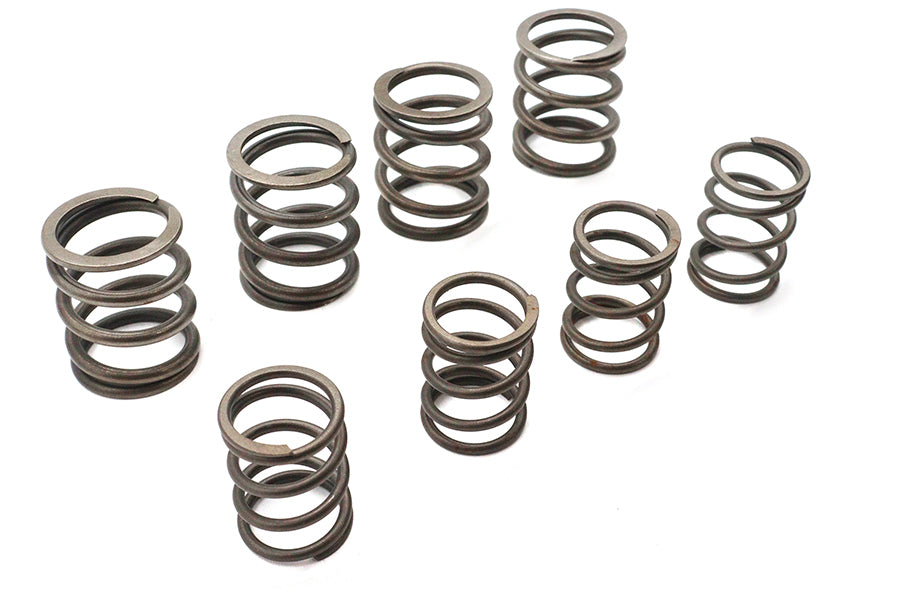 Valve Spring Kit