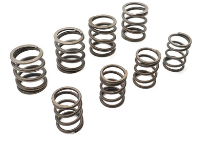 Valve Spring Kit
