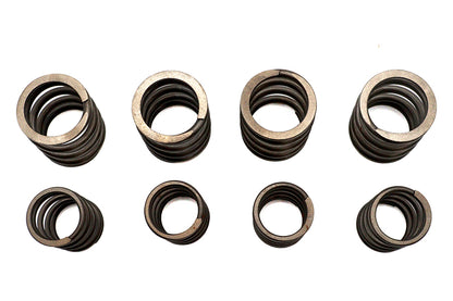 Valve Spring Kit