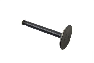 Nitrate Intake Valve