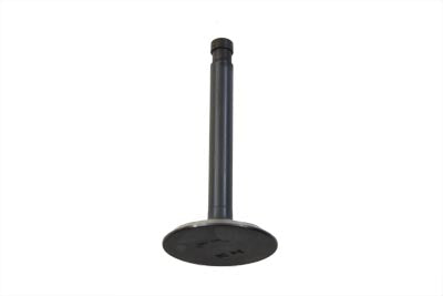 Nitrate Intake Valve